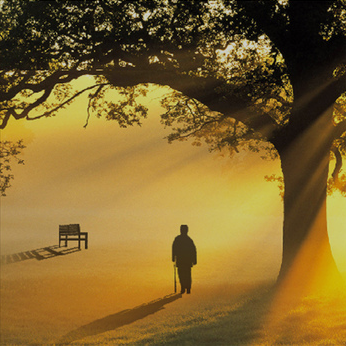 1678600492136453.png image.png